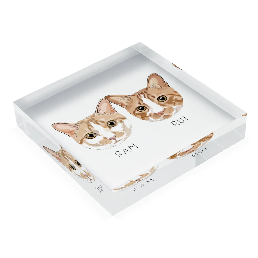 みきぞーん｜保護猫 ミッキー画伯と肉球とおともだちのram&rui Acrylic Block :placed flat