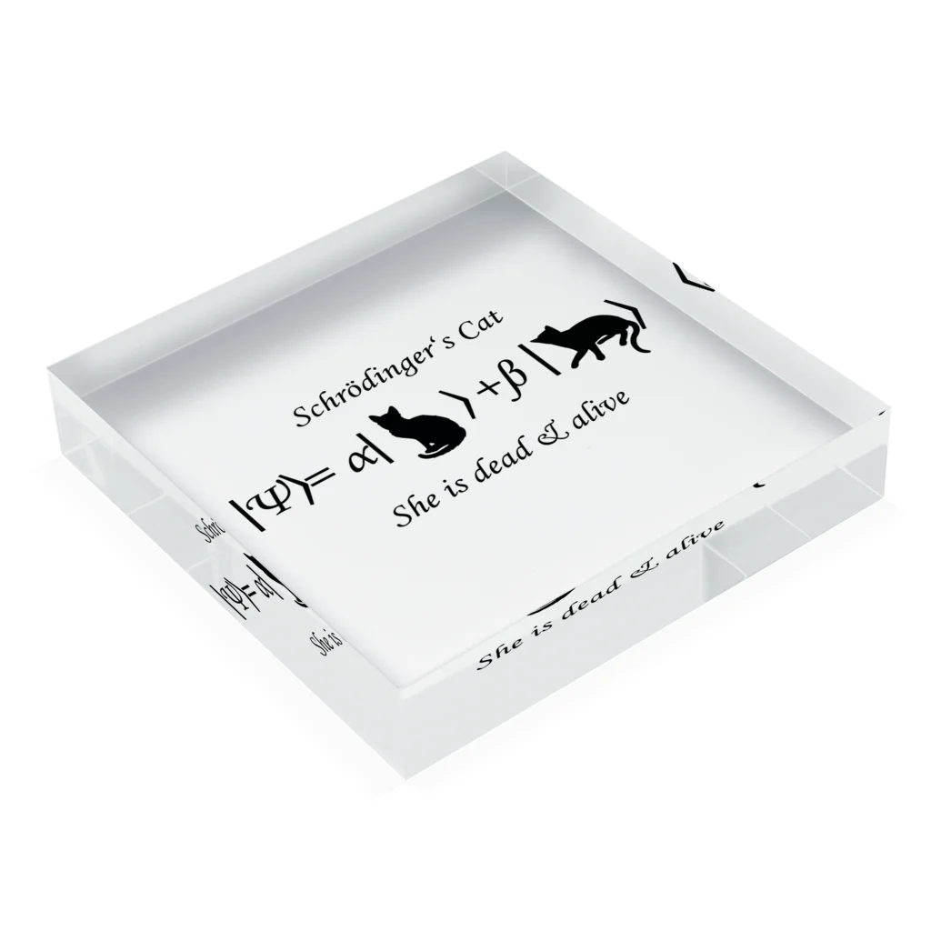 Silvervine Psychedeliqueのシュレーディンガーの猫（黒字） Acrylic Block :placed flat