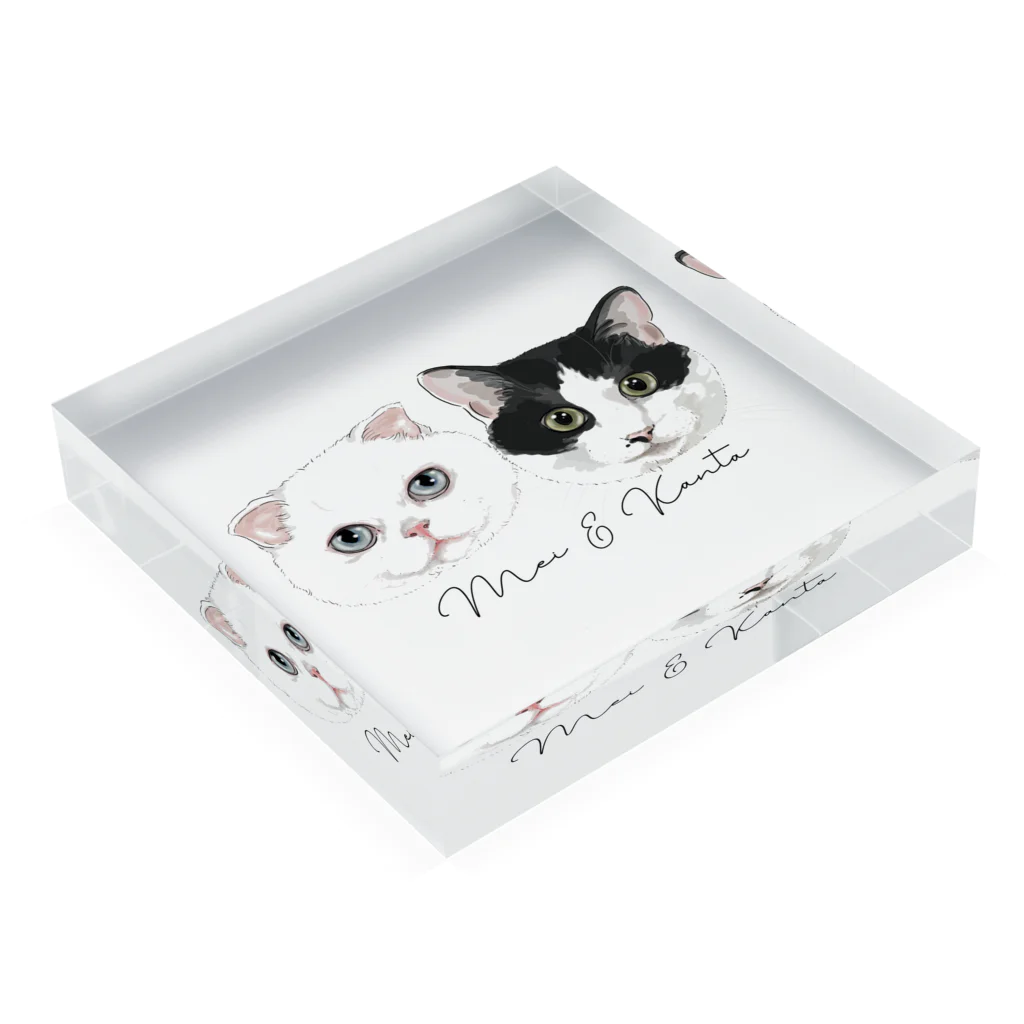 みきぞーん｜保護猫 ミッキー画伯と肉球とおともだちのMei&Kanta Acrylic Block :placed flat
