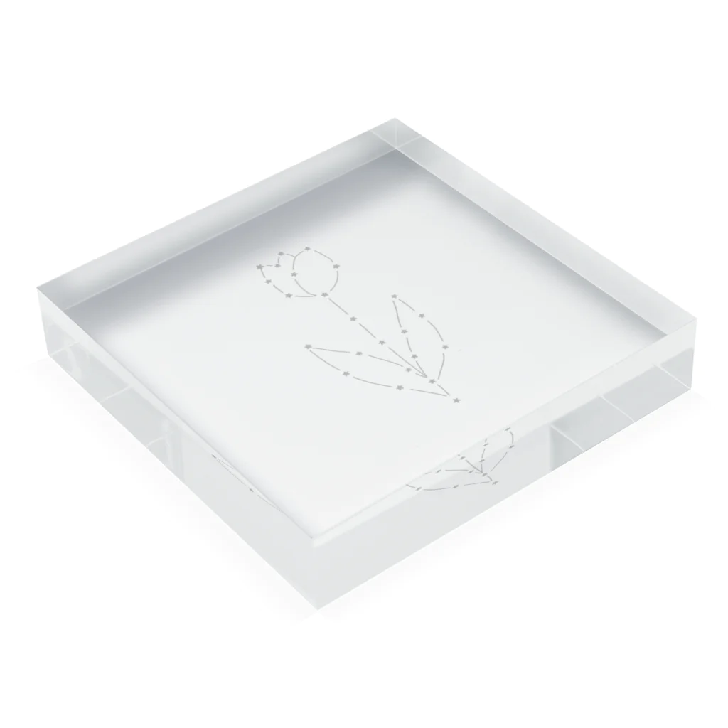 rilybiiのstar tulip Acrylic Block :placed flat