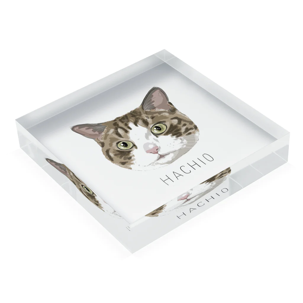 みきぞーん｜保護猫 ミッキー画伯と肉球とおともだちのhachio Acrylic Block :placed flat