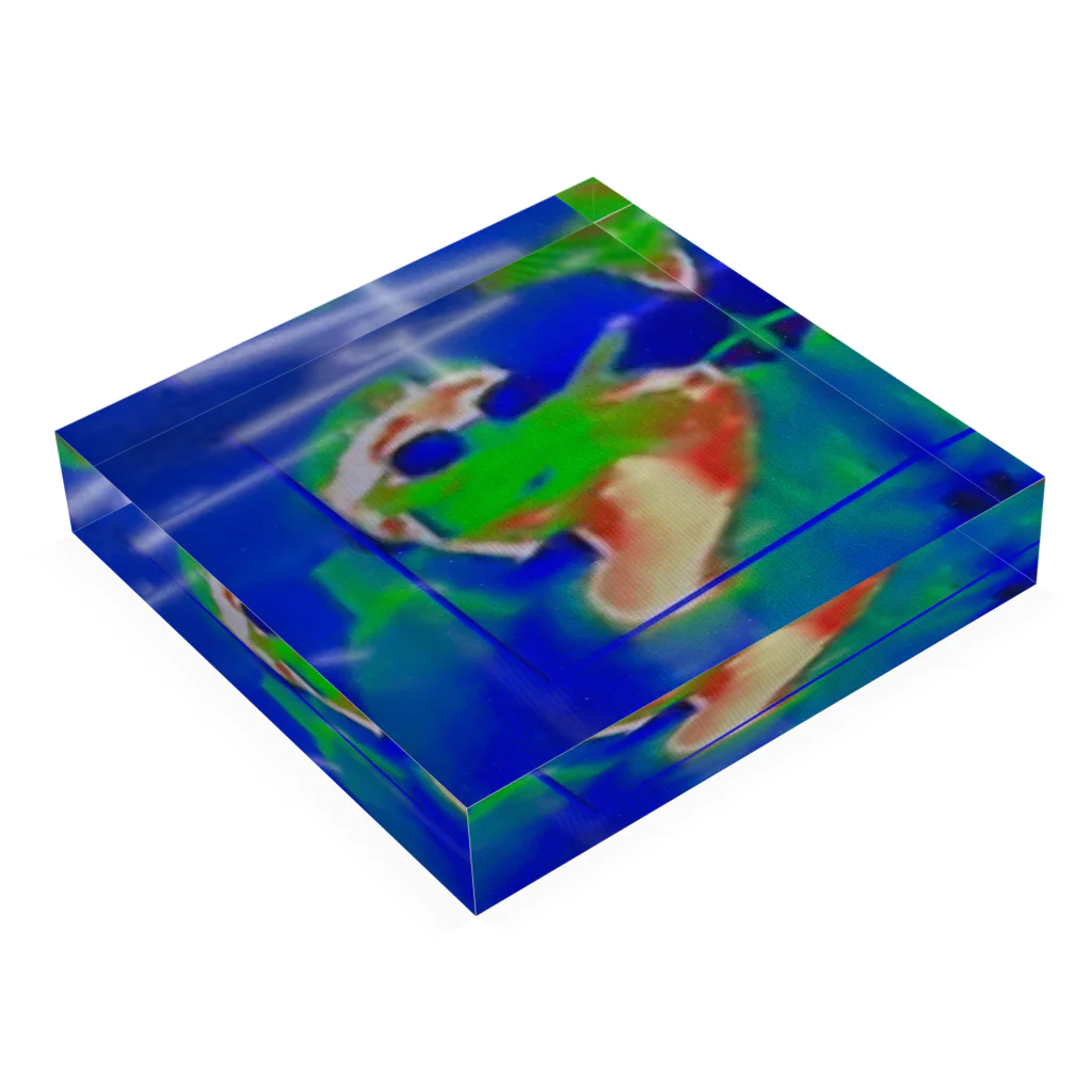 とねちゃんの店のThermography photo of my boss アクリルブロックの平置き