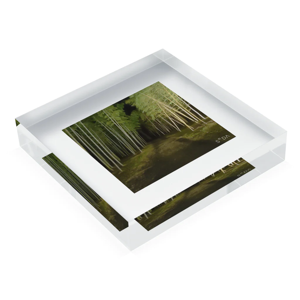 モロの夜の竹林 Acrylic Block :placed flat