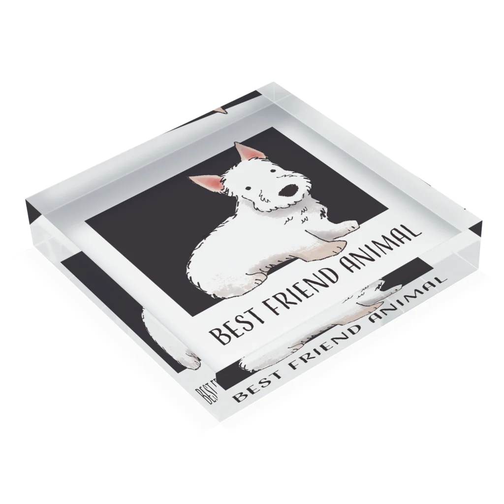 BFA/Best friend animalのスコティッシュテリア/BFA Acrylic Block :placed flat