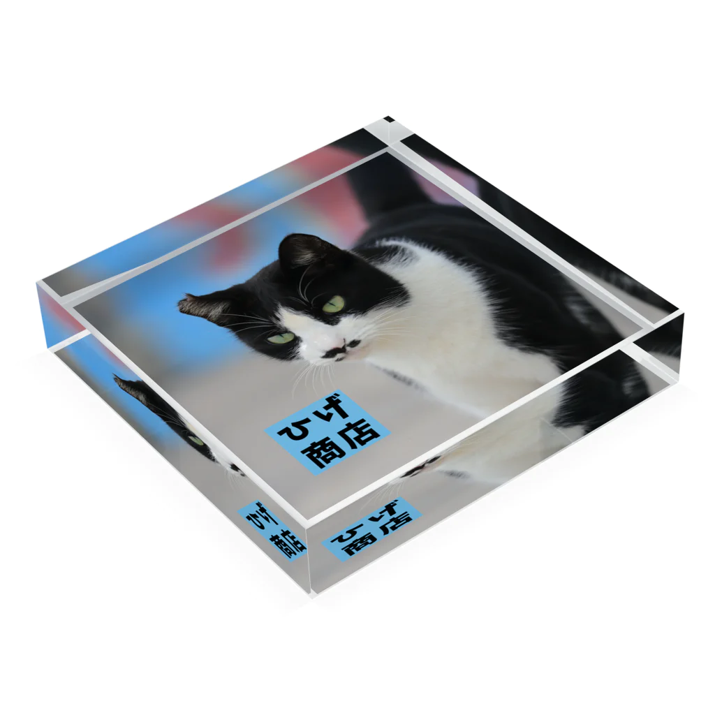 Cats Digital Marketing 【ひげ商店 石垣島】のアクリルブロック Acrylic Block :placed flat