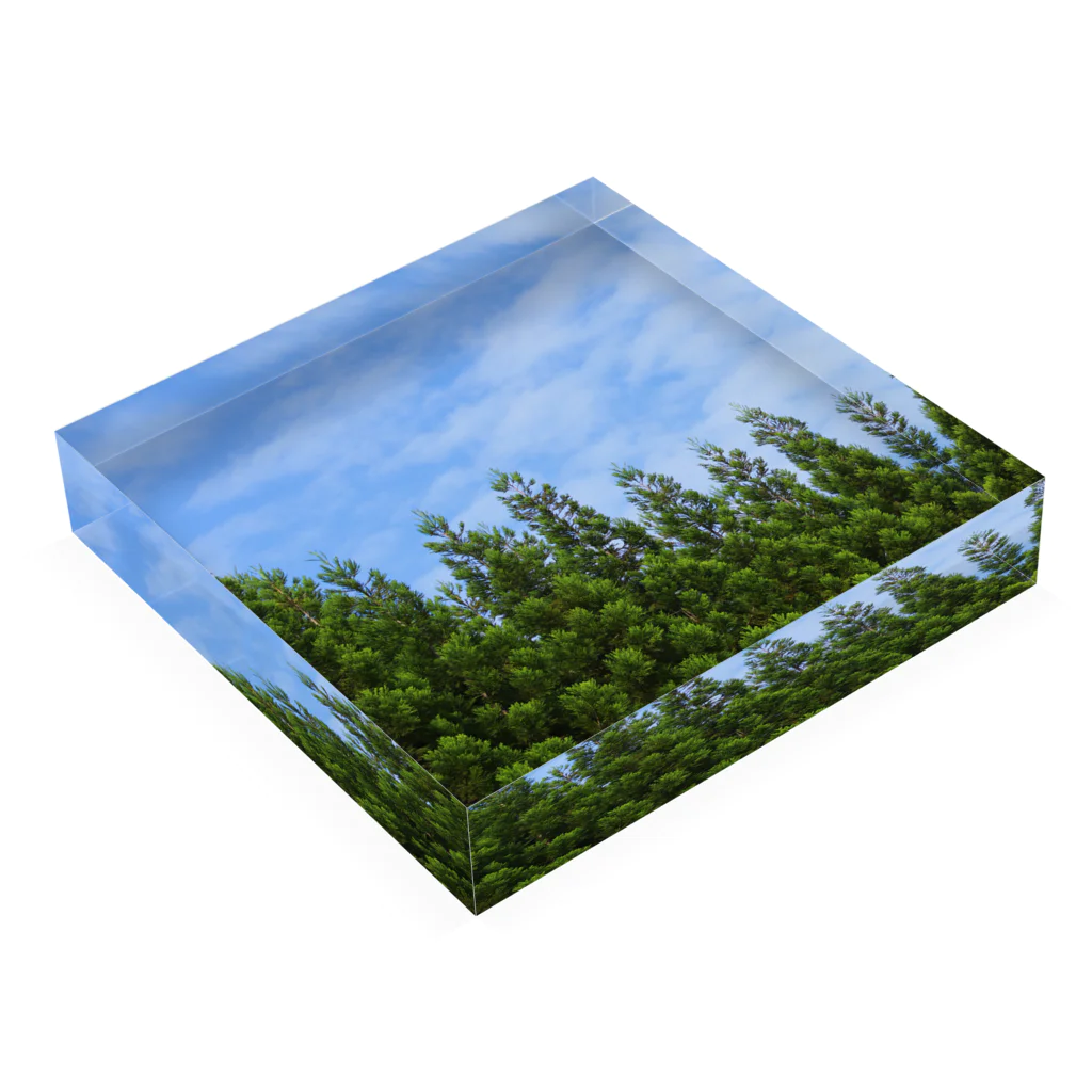 柚葉 / Yuzuha【公式】の青空と針葉樹【自主撮影写真使用】 Acrylic Block :placed flat