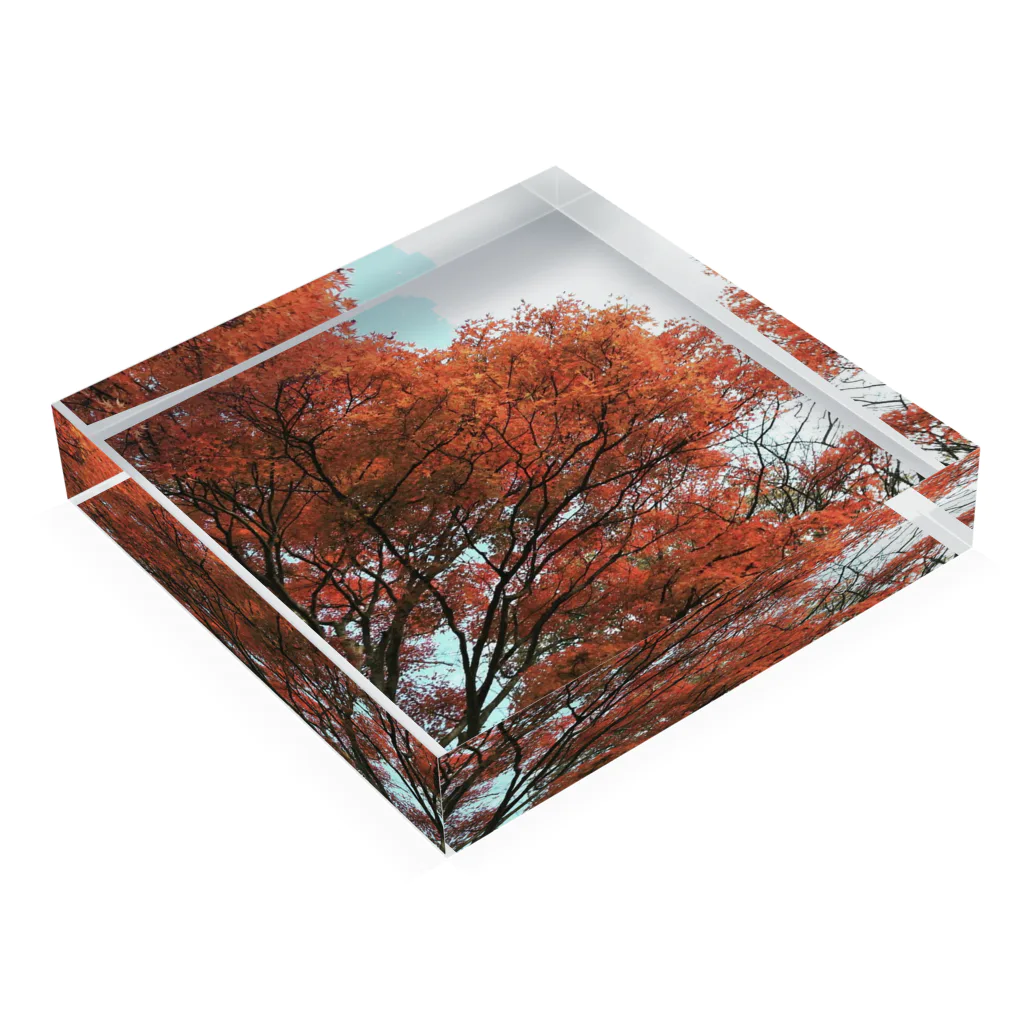 ラベンダーショップのきれいな紅葉 Acrylic Block :placed flat