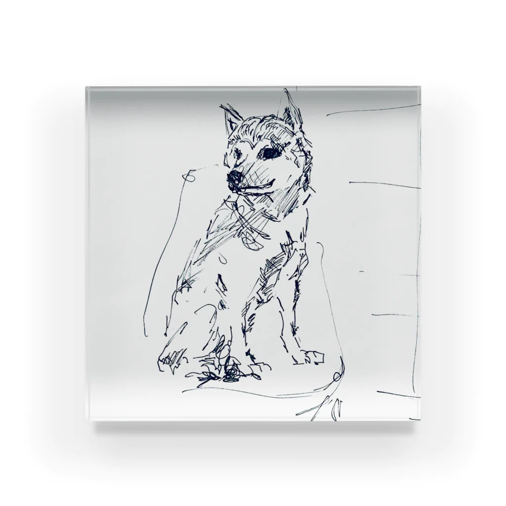 MAMETAROの柴犬 Acrylic Block