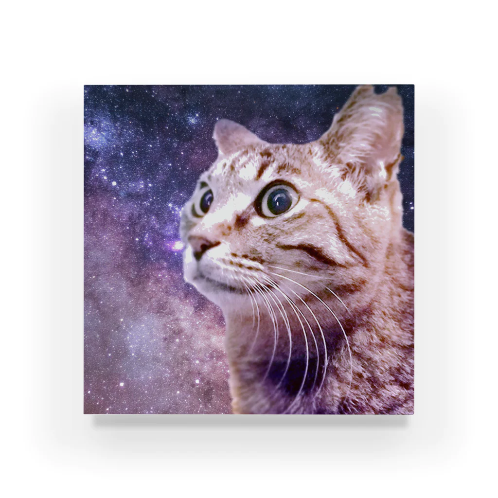 猫侍 ショップの宇宙猫 - KAGICHAN Acrylic Block