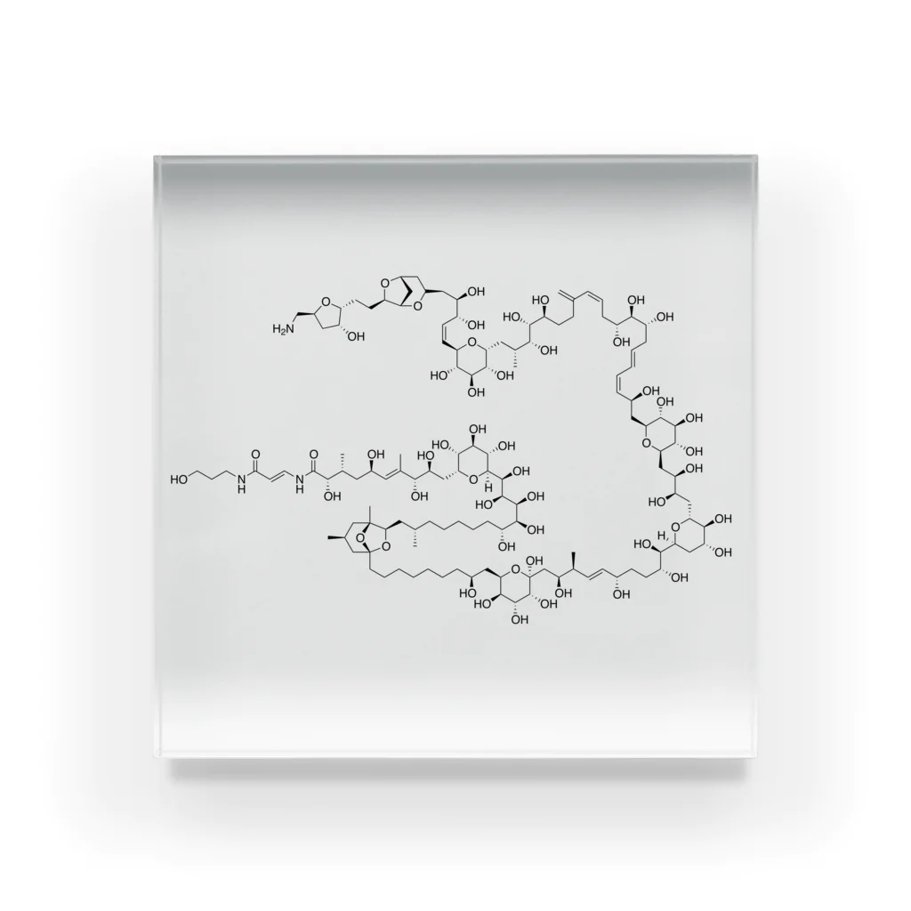 生肉のパリトキシン構造式 アクリルブロック