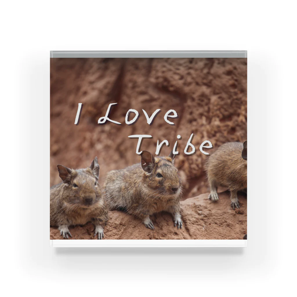 ミラくまのI LOVE Tribe アクリルブロック