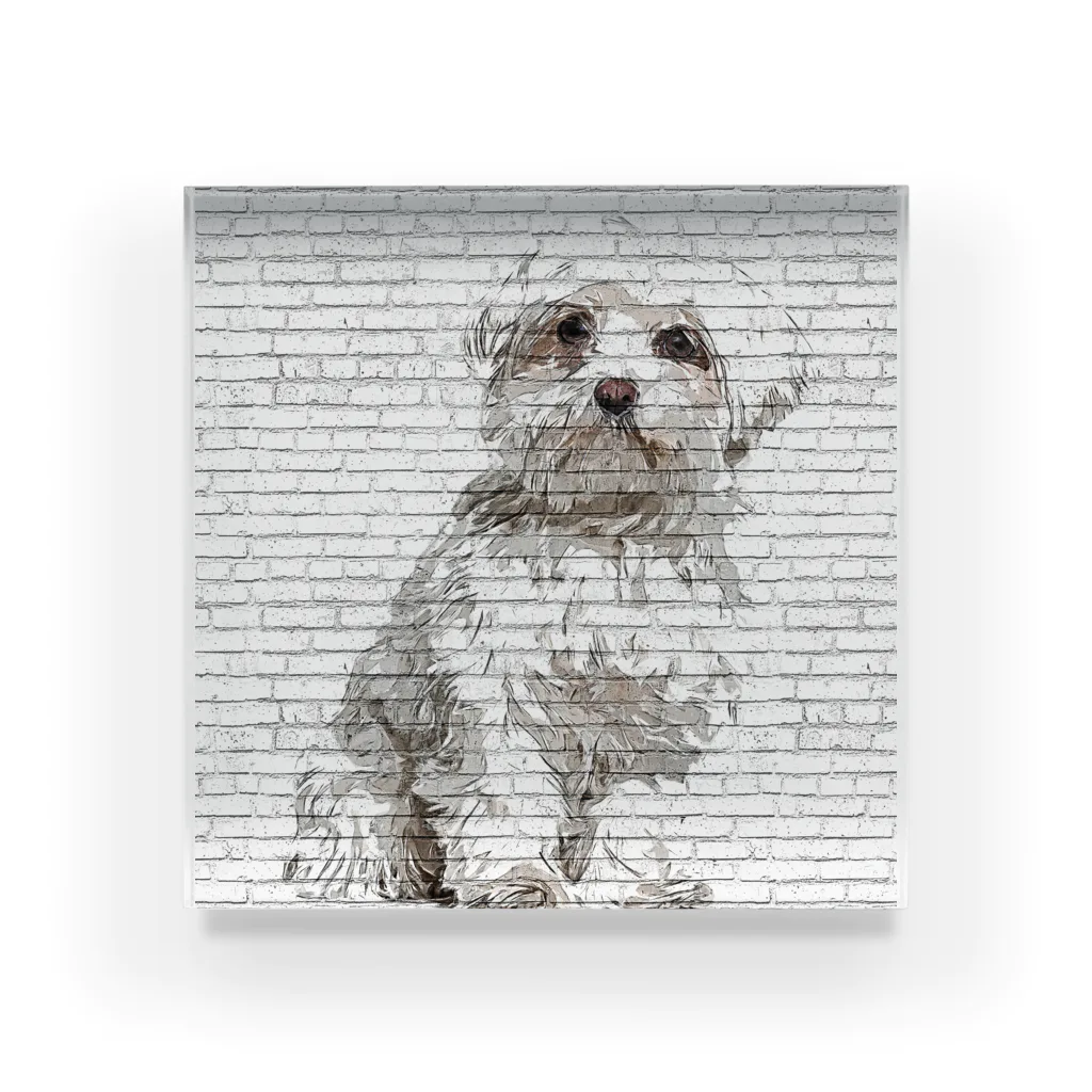 【CPPAS】Custom Pet Portrait Art Studioの マルチーズドッグ - レンガブロック背景 Acrylic Block