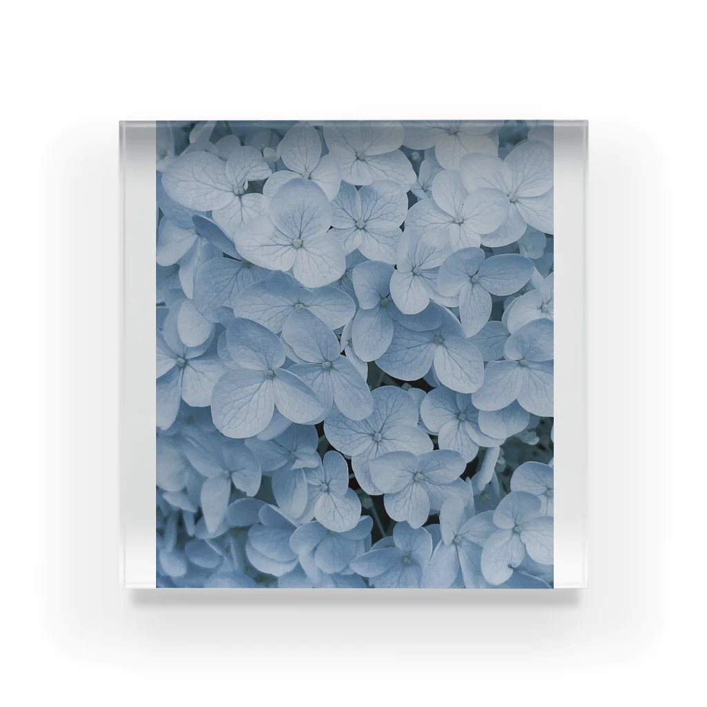 sinの部屋のhydrangea Acrylic Block