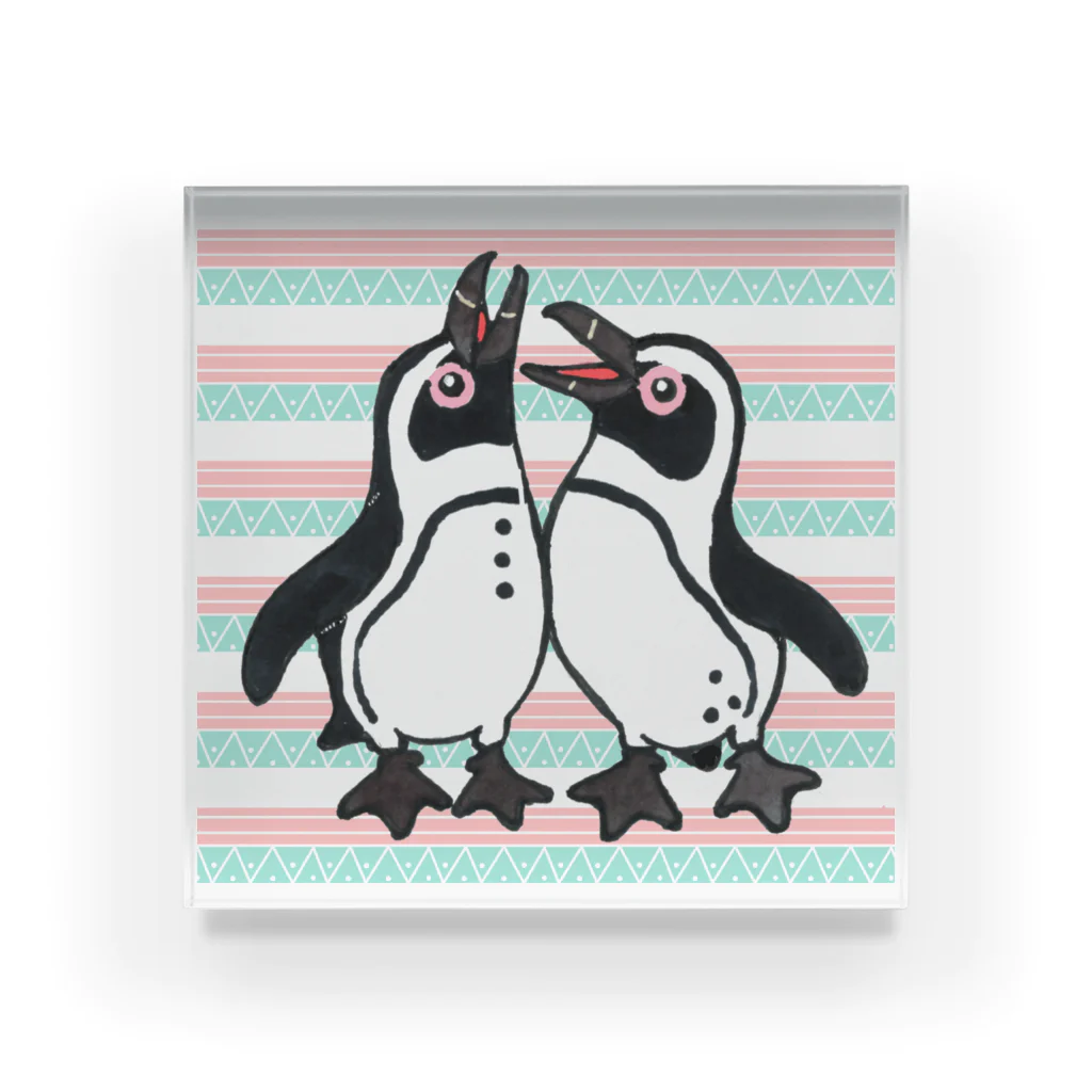 penguininkoの仲良く鳴き合うケープペンギン🐧背景ありB アクリルブロック
