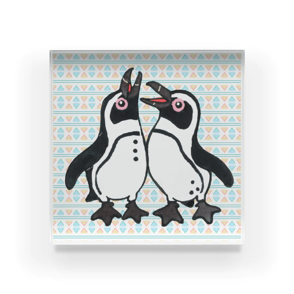 penguininkoの仲良く鳴き合うケープペンギン🐧背景ありC アクリルブロック