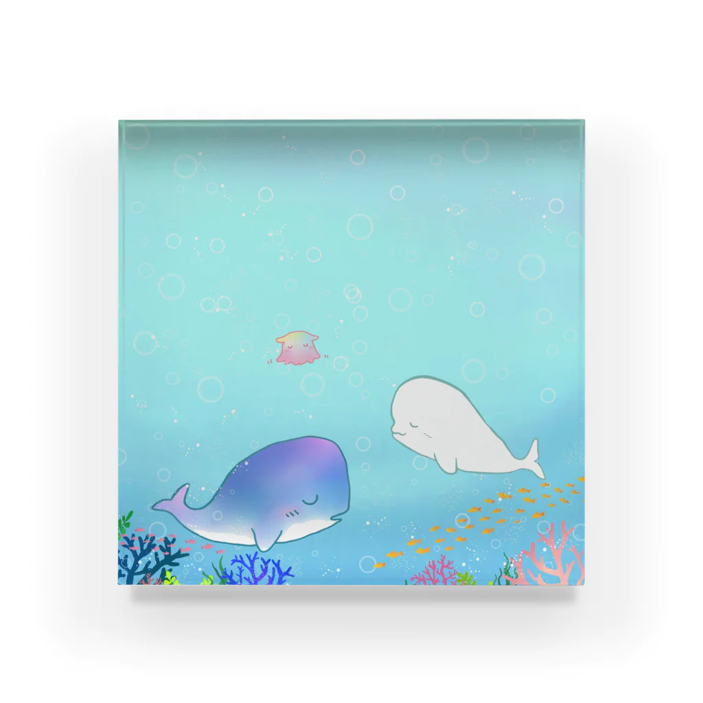 まぁの海の生き物屋さんのおひるねクジラとシロイルカさん Acrylic Block