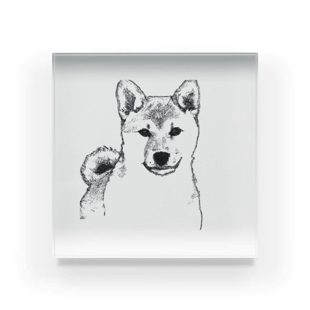 Shibainuteikokuのペン画柴犬 アクリルブロック