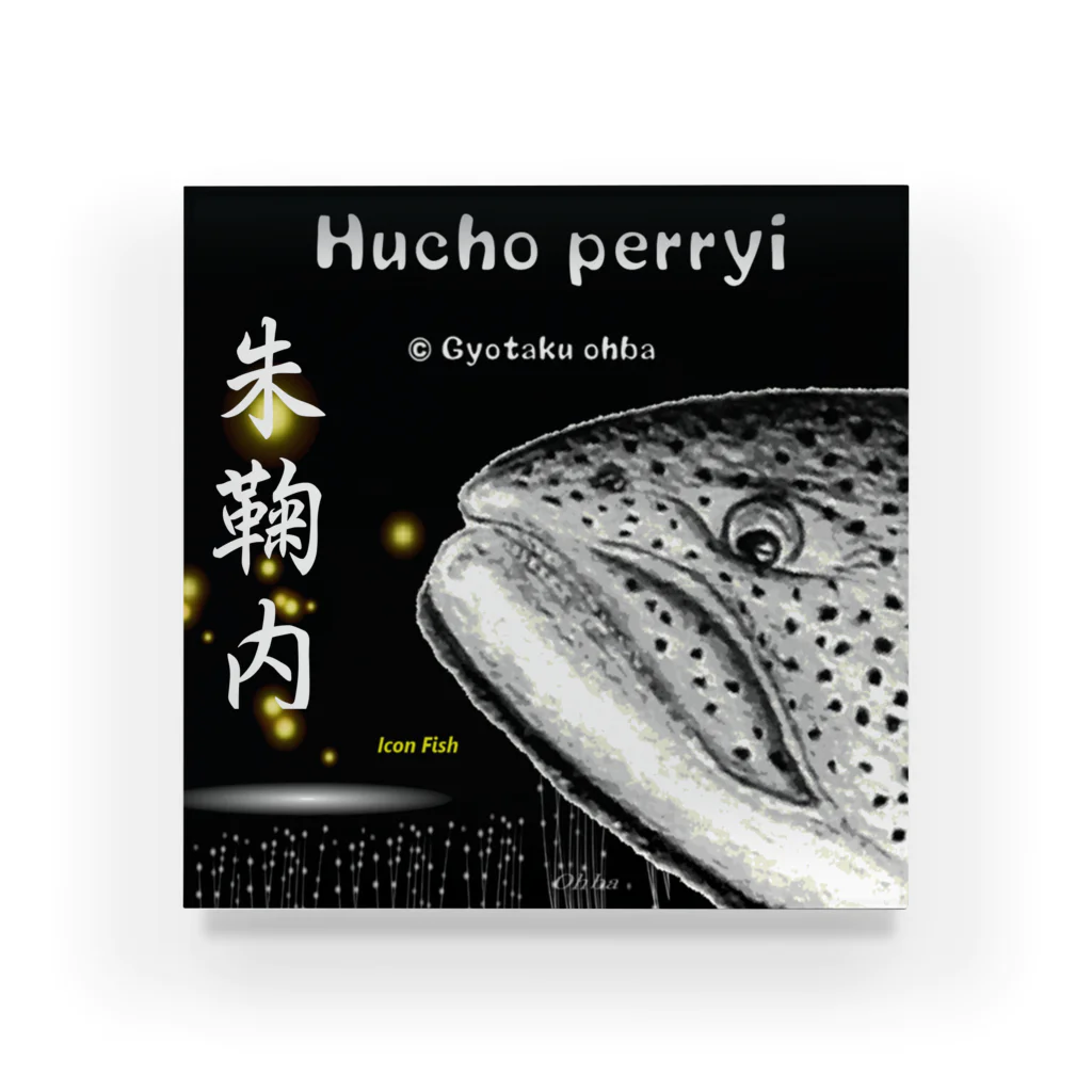 G-HERRINGのイトウ！朱鞠内（HUCHO PERRYI）生命たちへ感謝を捧げます。※価格は予告なく改定される場合がございます。 アクリルブロック