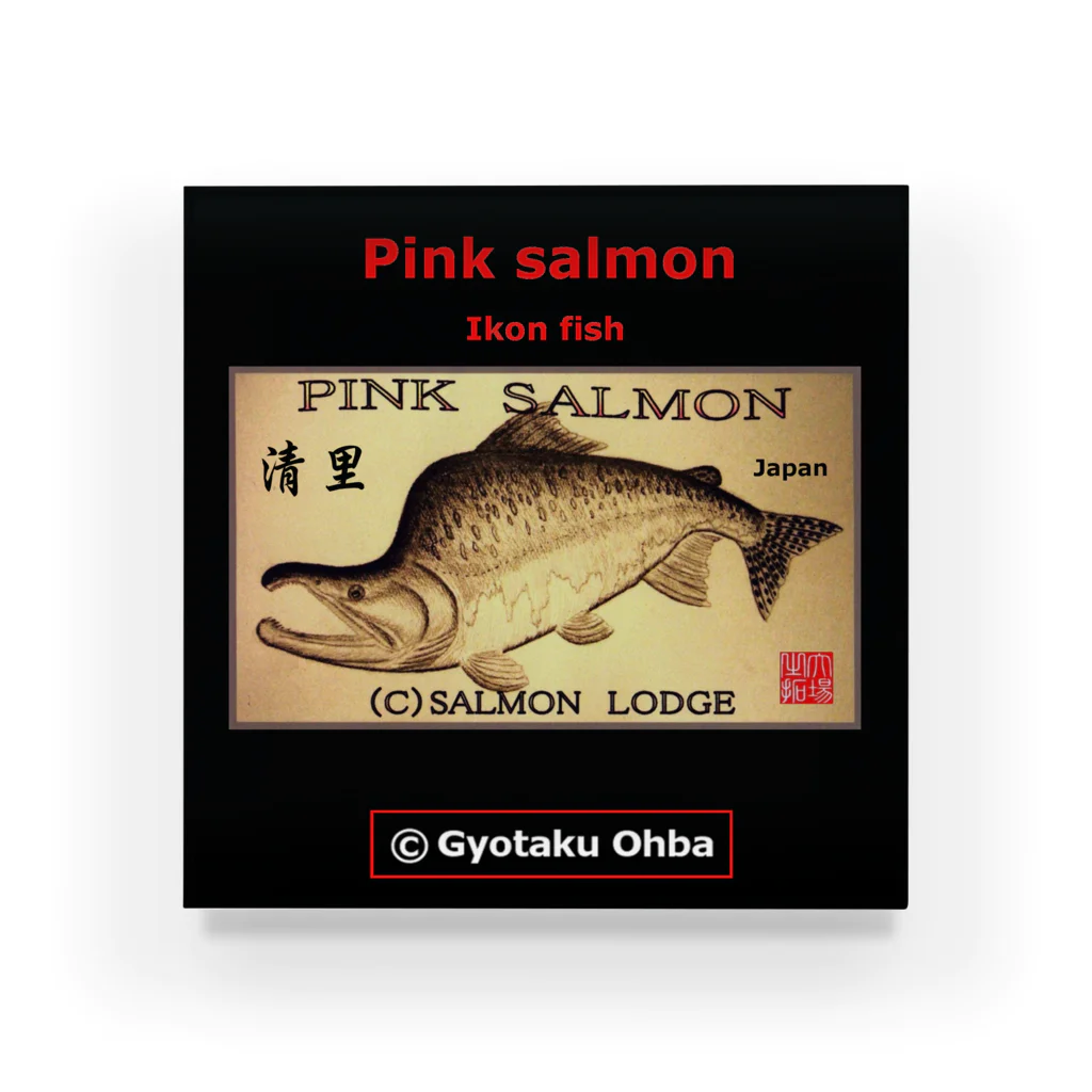 G-HERRINGのカラフトマス！清里（樺太鱒；PINK SALMON）生命たちへ感謝を捧げます。※価格は予告なく改定される場合がございます。 Acrylic Block