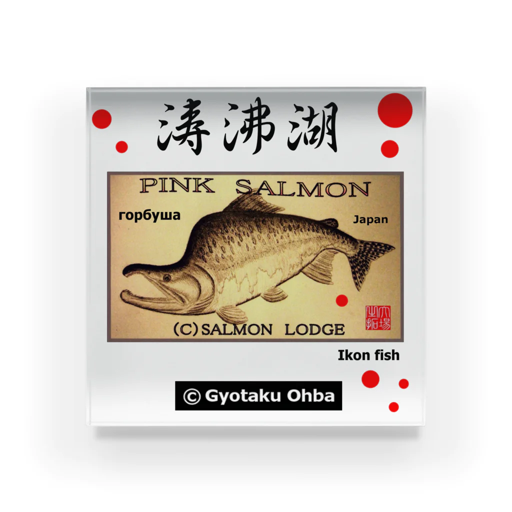 G-HERRINGのカラフトマス【涛沸湖】【樺太鱒；PINK SALMON】生命たちへ感謝を捧げます。※価格は予告なく改定される場合がございます。 アクリルブロック