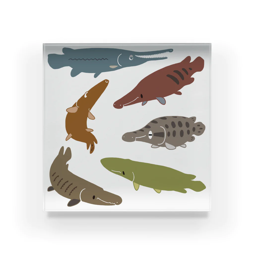 幻想水系branch　byいずもり・ようのSILHOUETTE AQUARIUM 02 Acrylic Block