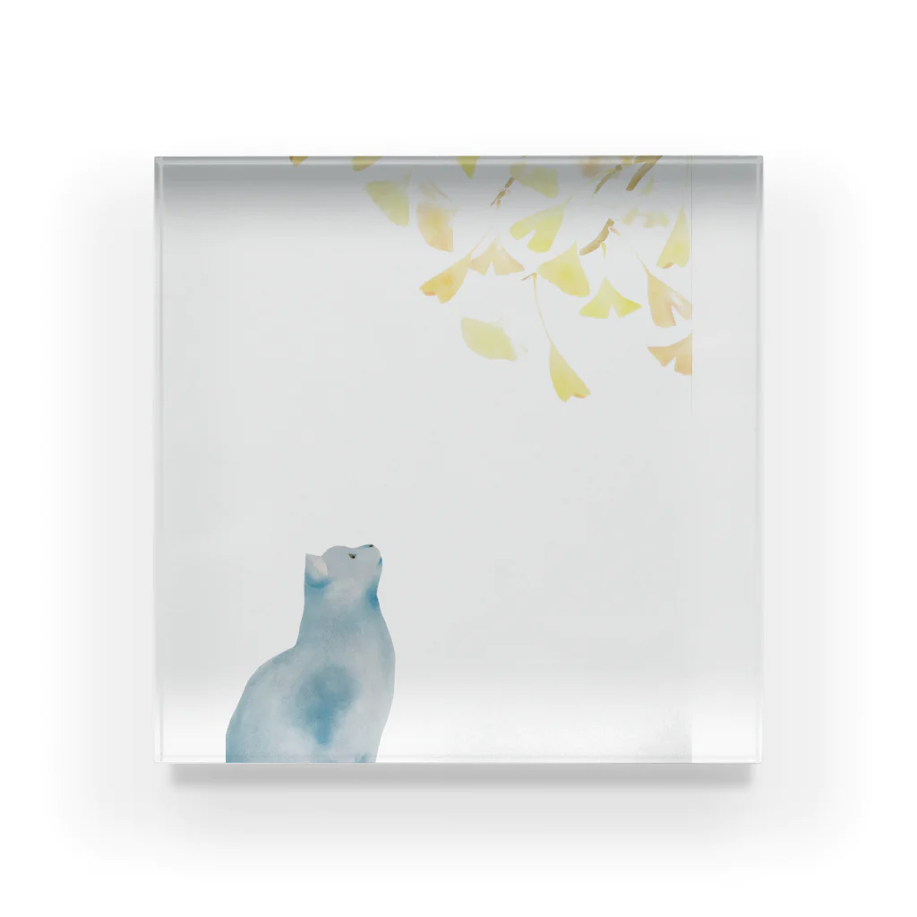 ミズノ リエ　グッズの「いちょうを見つめるねこ」ミズノ リエ Acrylic Block