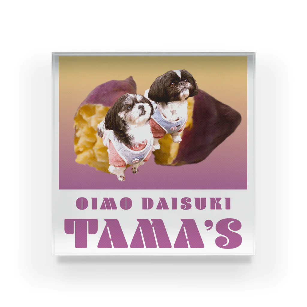 シーズーっぽいしろくろの犬たちのOIMO DAISUKI TAMA'S 아크릴 블럭