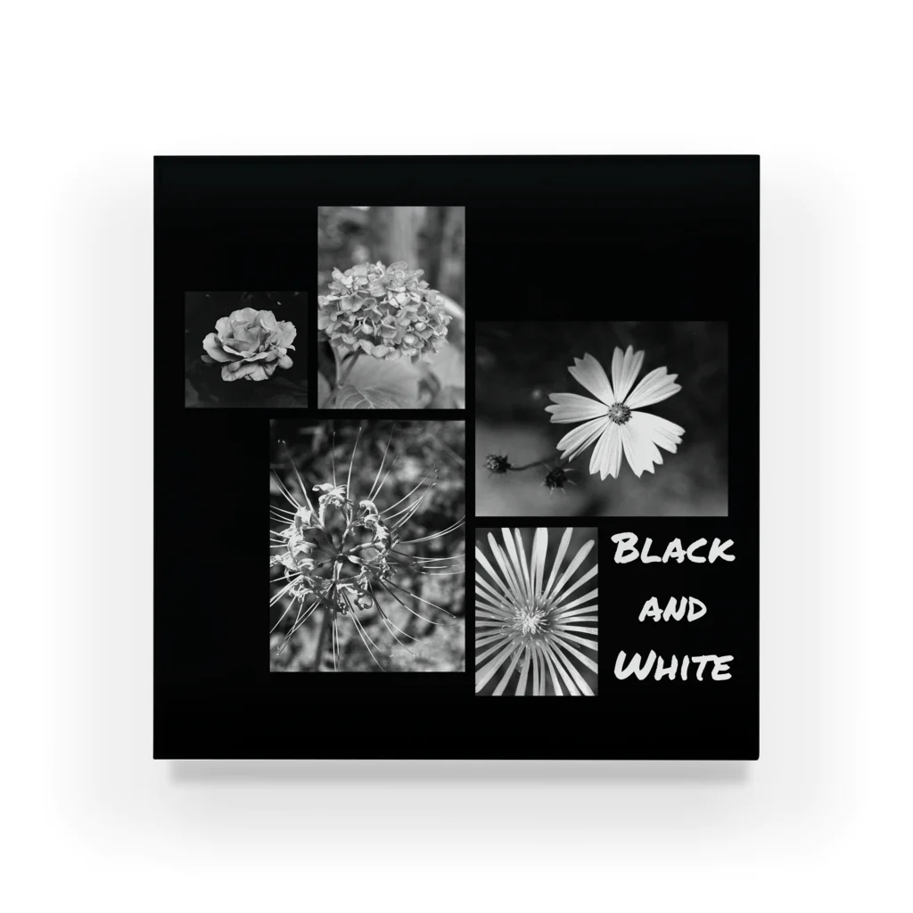 FILM CANERA FANのBlack and White Flowers アクリルブロック