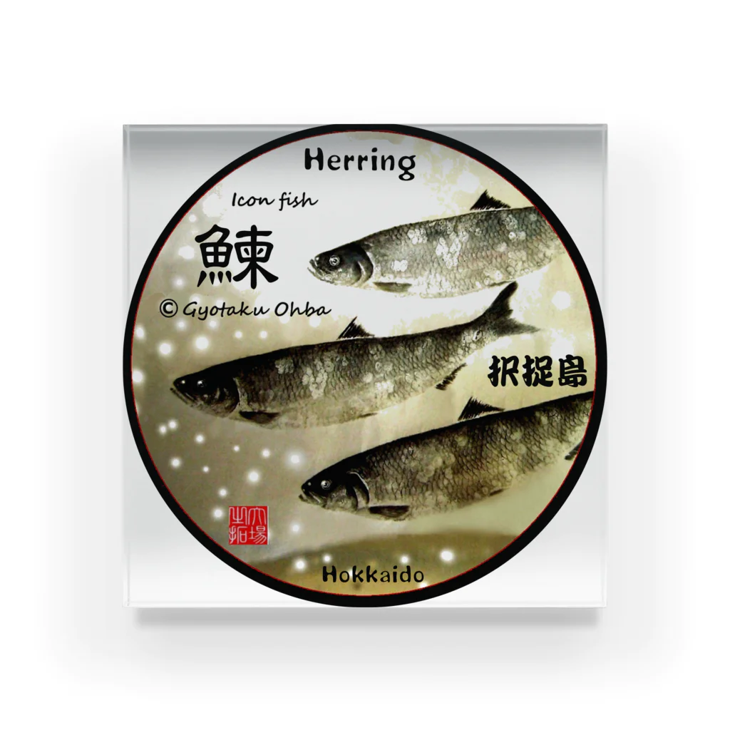 G-HERRINGの鰊！択捉島（ニシン；HERRING）生命たちへ感謝を捧げます。※価格は予告なく改定される場合がございます。 アクリルブロック