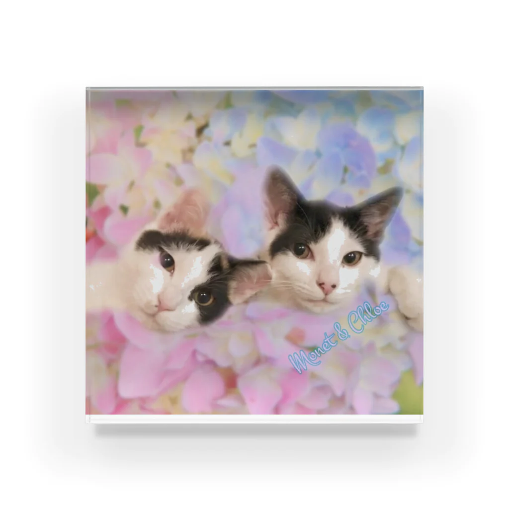 🌸 モネクロ  🌸一時的に鍵かけてますのモネクロ   Acrylic Block