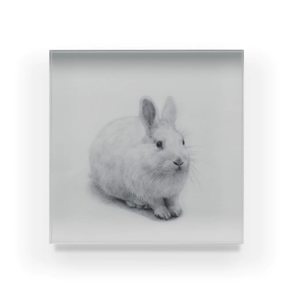 百の透明ウサギ（gray） アクリルブロック