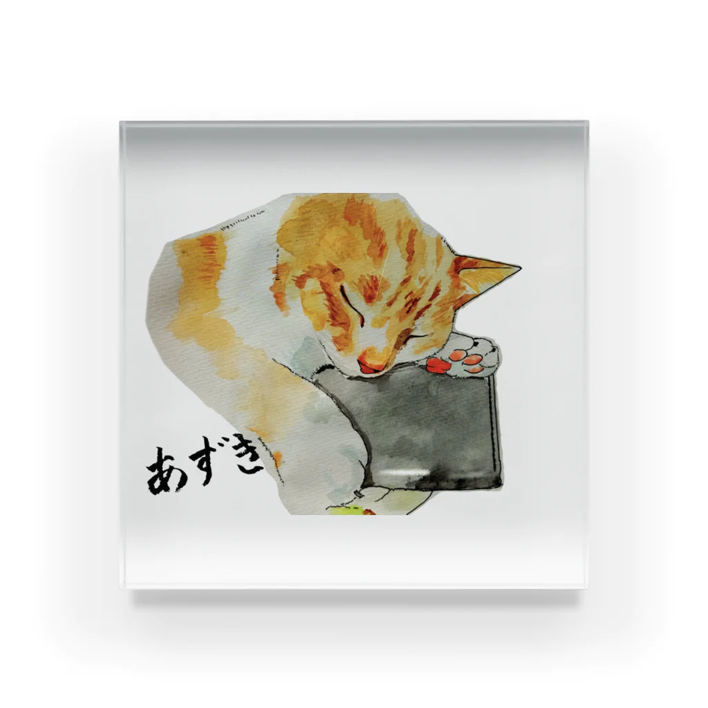 保護猫茶トラ兄弟LIFEのあずき Acrylic Block