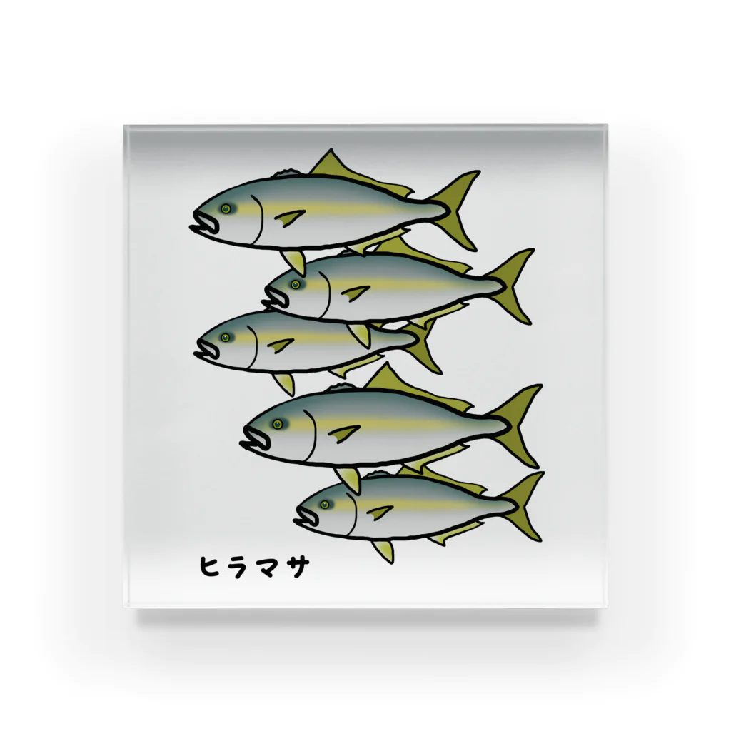 脂身通信Ｚの【リニューアル】【魚シリーズ】ヒラマサ♪群れ♪221128 アクリルブロック