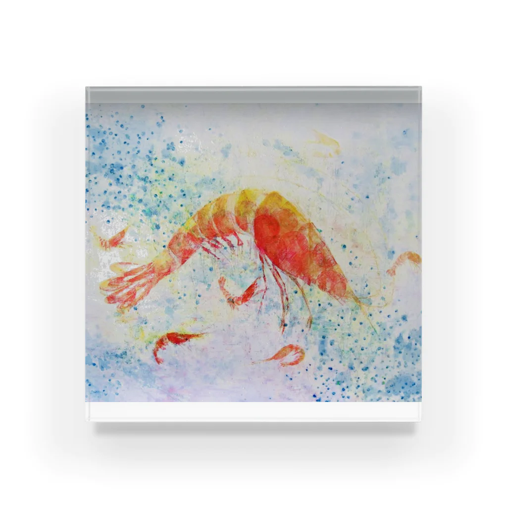 鳩子のらんらんshrimp Acrylic Block