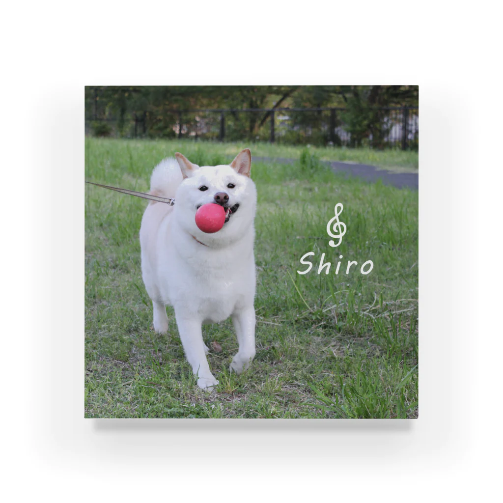 要田詩織のモフShop🐕の白柴シロと緑とボール アクリルブロック