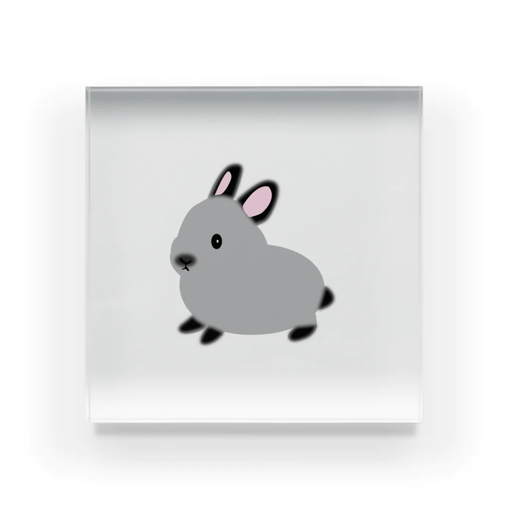 whiterabbit2010のうさぎ　サイアミーズスモークパール アクリルブロック