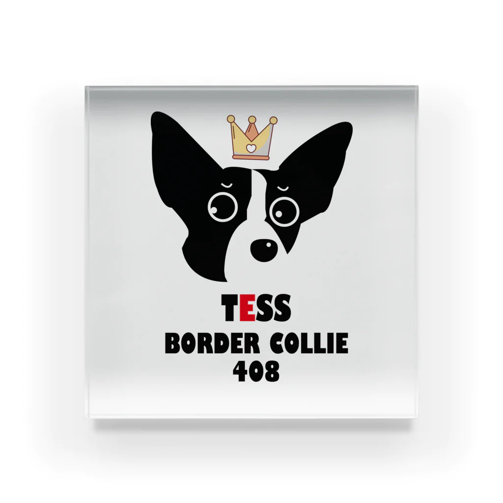 Bordercollie StreetのTESS0219 アクリルブロック