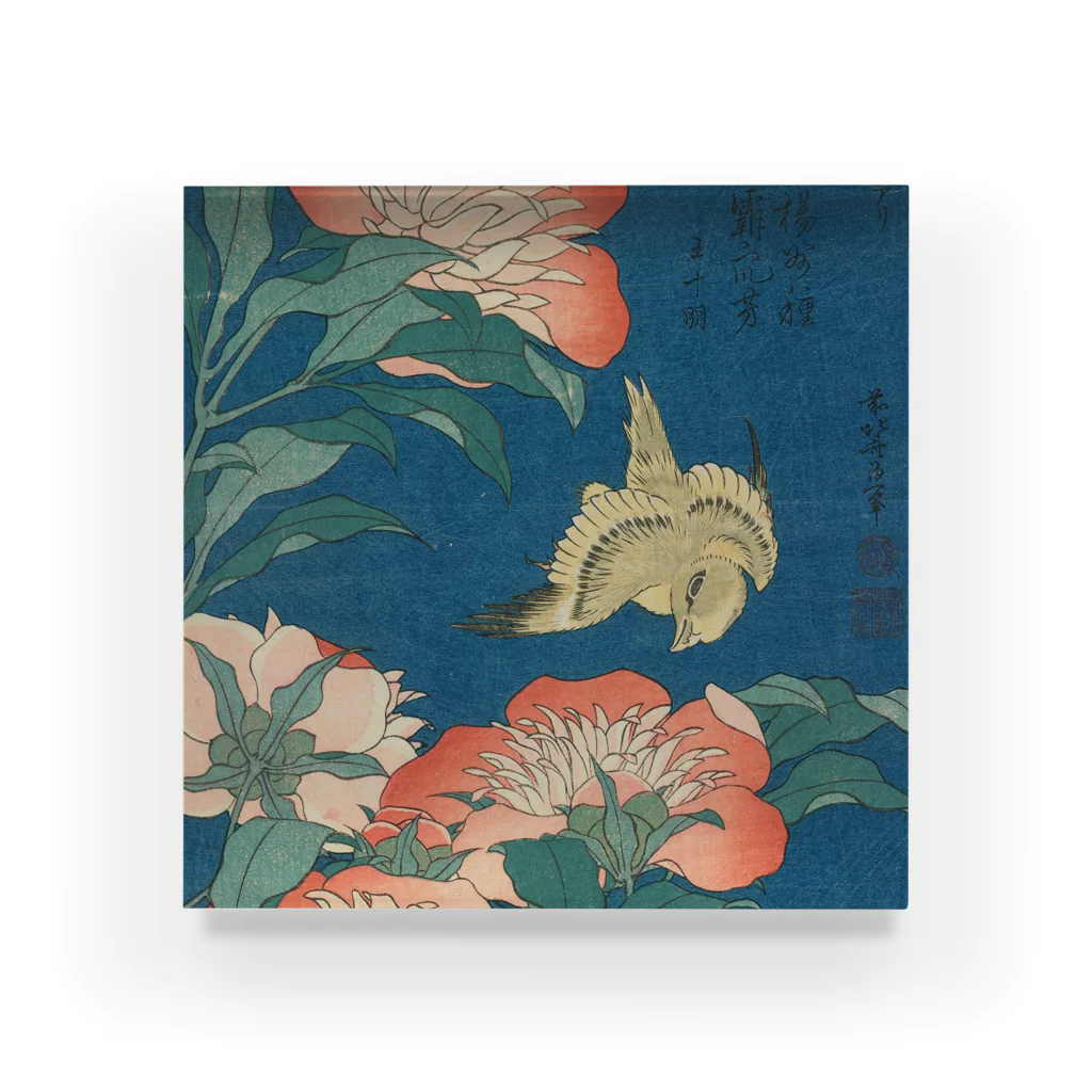 SONOTENI-ARTの003-003　葛飾北斎　『芍薬　カナアリ』　アクリルブロック アクリルブロック
