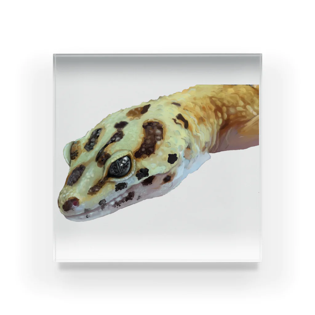 アクリルで描いたヒョウモントカゲモドキ アクリルで描いたヒョウモントカゲモドキ