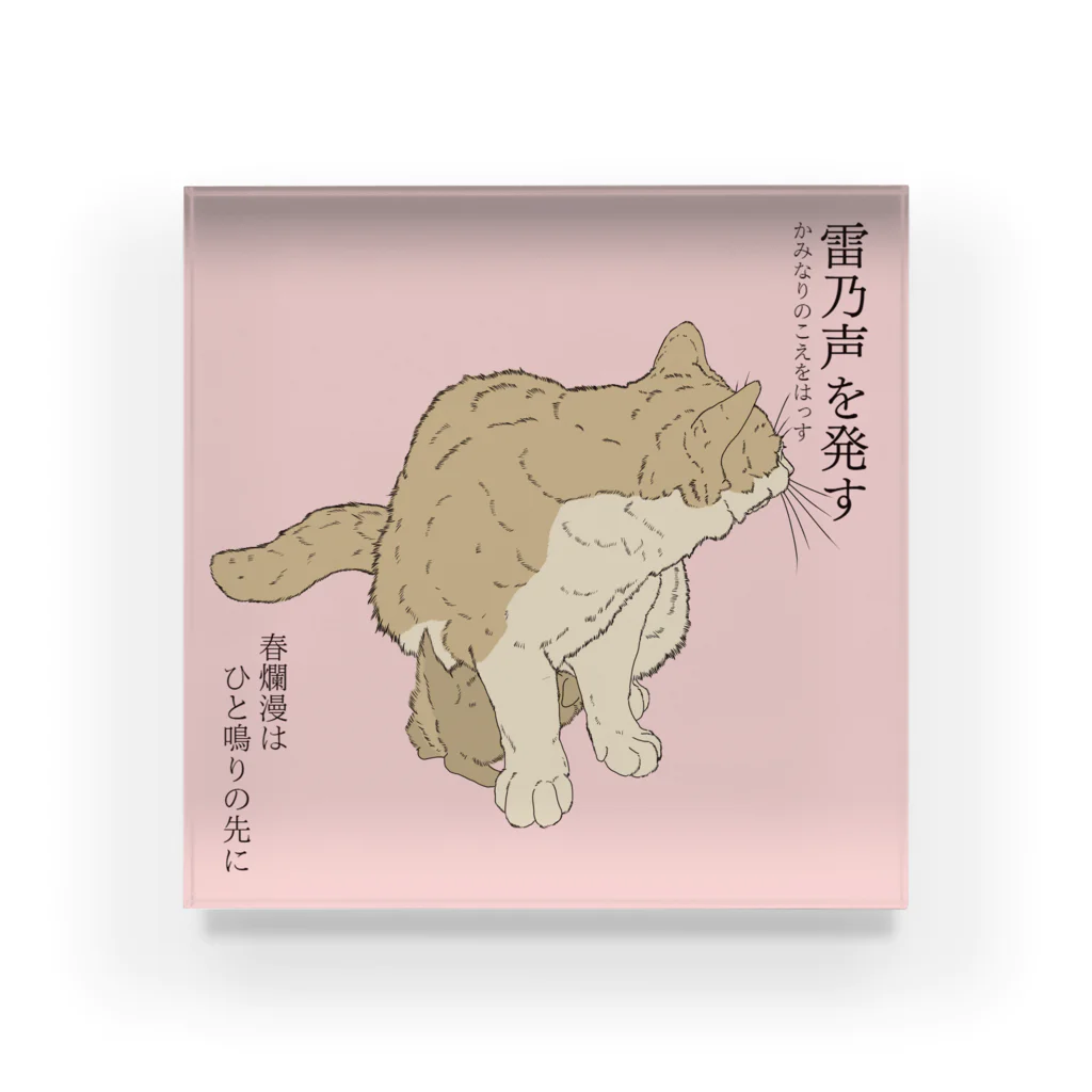 猪猫の雷乃声を発す　母猫に隠れる仔猫 Acrylic Block