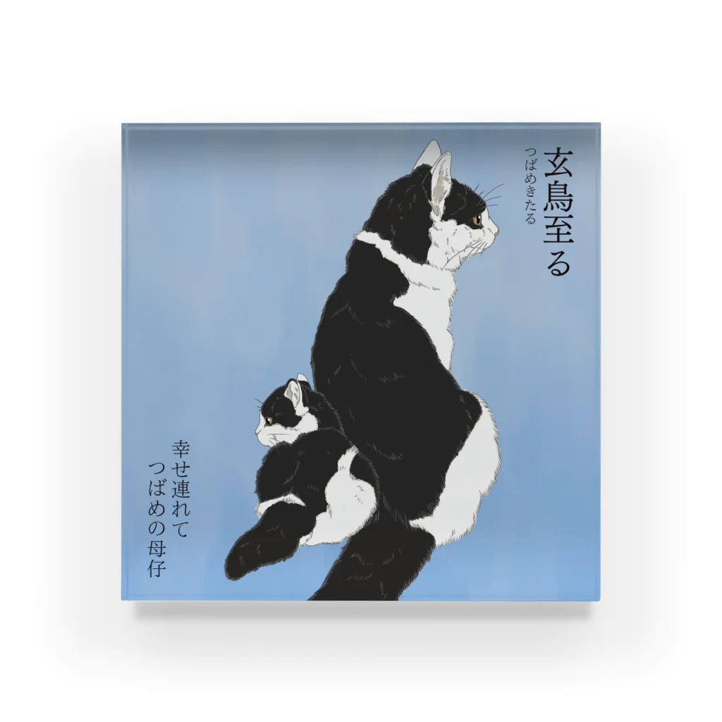 猪猫の玄鳥至る　ハチワレ猫の親子 Acrylic Block