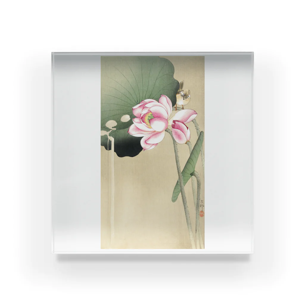 MUGEN ARTの小原古邨　蓮と雀　Ohara Koson / Songbird and Lotus Acrylic Block