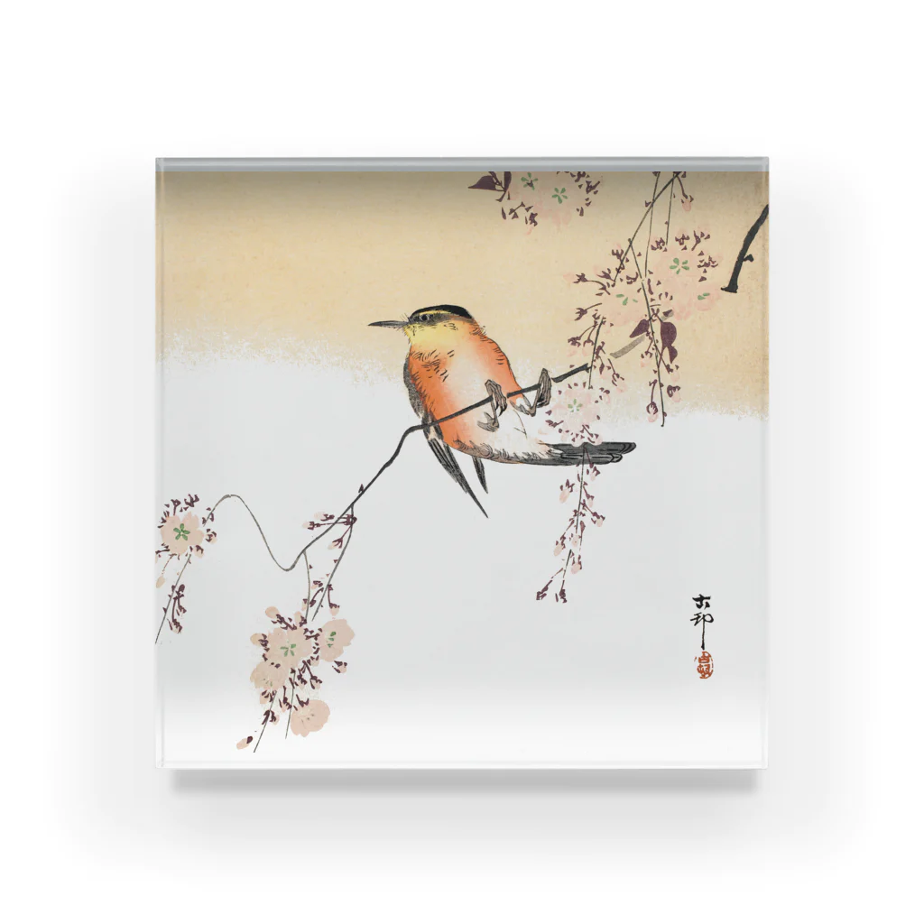 MUGEN ARTの小原古邨　桜と鳥　Ohara Koson 日本のアートTシャツ＆グッズ Acrylic Block