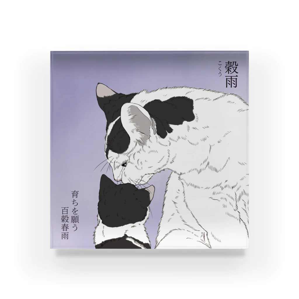 猪猫の穀雨　雨宿りなハチワレ母仔猫 Acrylic Block