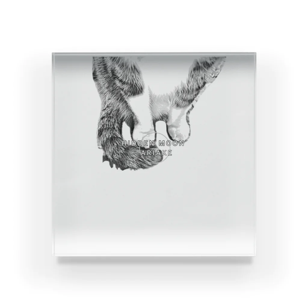 HIDDEN MOON-ARIAKEの16 Acrylic Block