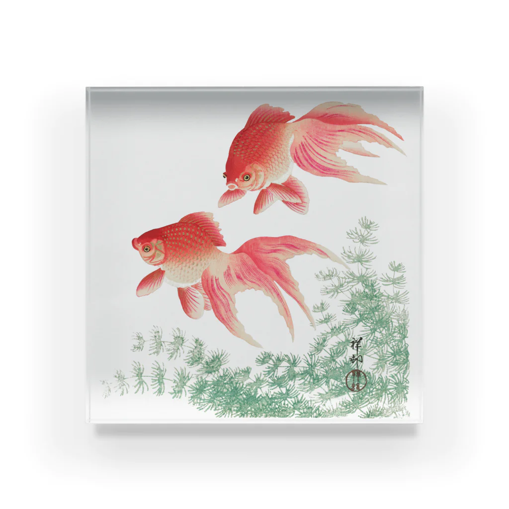 MUGEN ARTの二匹の金魚　小原古邨作品編集　日本のアートTシャツ＆グッズ Acrylic Block