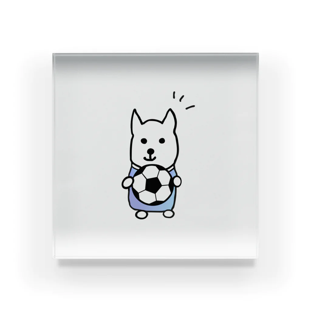 ひろねこさんの冒険*♡･゜のサッカー犬さん♪Part1 Acrylic Block