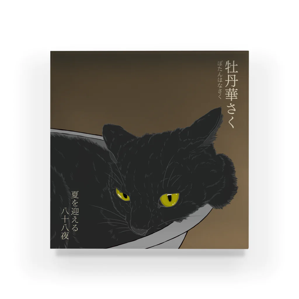 猪猫の牡丹華さく　猫鍋で涼む黒猫 Acrylic Block