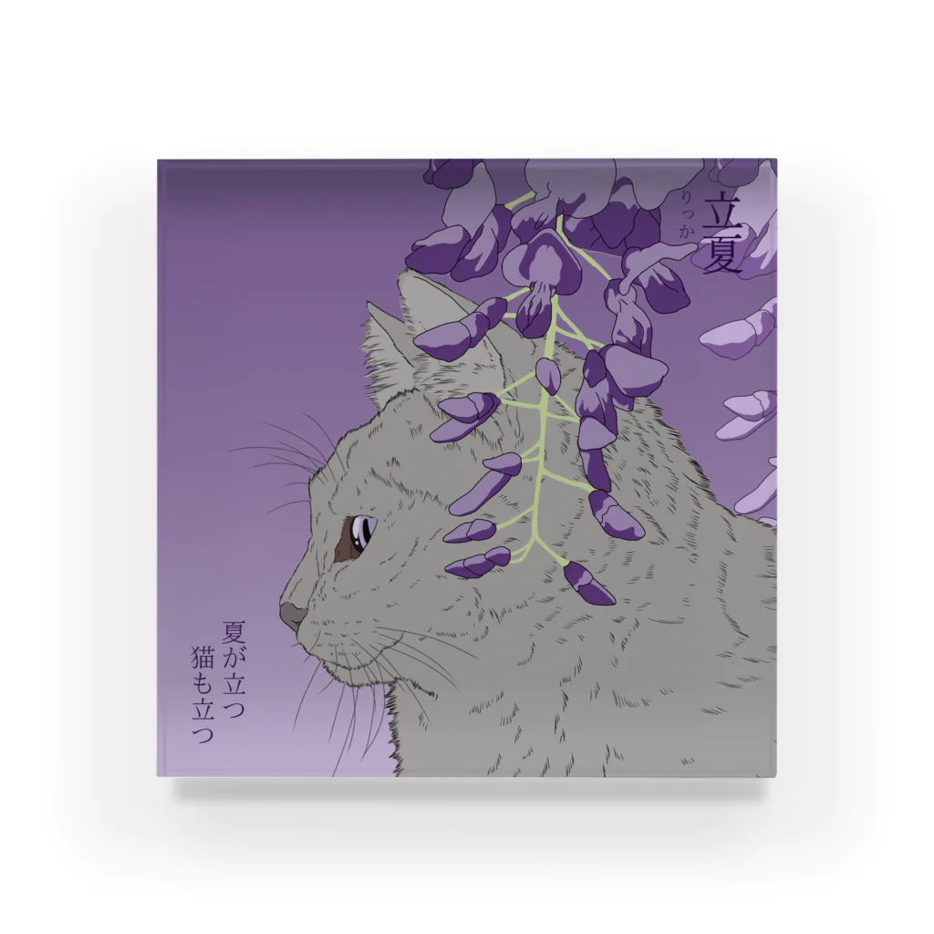 猪猫の立夏 Acrylic Block