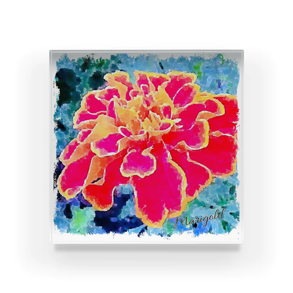 kazeou（風王）のMarigold(アプリ加工) Acrylic Block